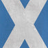 Scotland Flag Distressed Nintendo 2DS XL (2017) Skin